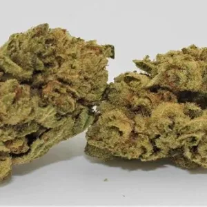 Close-up image of a mature Gorilla Glue Strain cannabis flower, showcasing its dense, resin-coated buds.