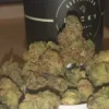 antg rocky cannabis